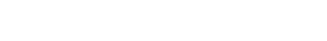 Nopea pikavippi